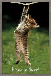 Trends International Famous Kitten Hang Wall Poster, 22.375" x 34", Barnwood Framed Version