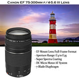 Canon EOS 80D DSLR Camera w/ 18-55mm Lens Bundle + Canon 75-300mm III Lens, Canon 50mm f/1.8 & 500mm Preset Lens + Battery Grip + Canon Case + 96GB Memory + Speedlight Flash + Professional Bundle