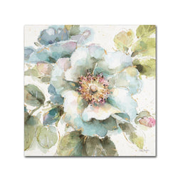 Country Bloom VII by Lisa Audit, 24x24-Inch Canvas Wall Art