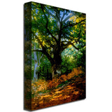Bodmer Oak Fontainebleau Forest Artwork by Claude Monet, 22 by 32-Inch Canvas Wall Art