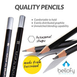 Bellofy 12 Drawing Pencils - Art Pencils Sketch Travel Set Artists Drawing Kit - 9B, 8B, 7B, 6B, 5B, 4B, 3B, 2B, B, HB, F, H - Precision Graphite Pencils for Adults & Kid Artists