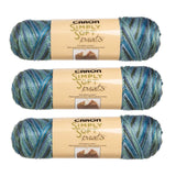 Caron (3 Pack Simply Soft Paints 100% Acrylic Soft Spring Brook Blue Silver Purple Yarn for Knitting Crocheting Medium #4