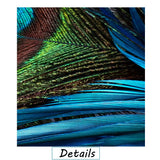 Canvas Prints Wall Art Peacock Feathers Painting Bird Plume Modern Art for Living Room Decoration Ready to Hang set of 5 (10x28inch(25x70cm)x5pcs)