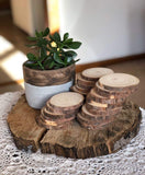 Wood Slices 45 Pcs 3.1''-3.5'' Unfinished Wood Rounds Natural Thicken Slab with Bark for Coasters Centerpieces Wedding Rustic Craft Wooden Ornaments Wood Burning Kit Crates Painting Craft Kits