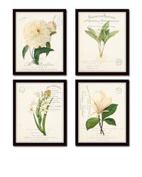 French Botanical Collage Print Set No. 3 Set of 4 Fine Art Giclee Prints - Unframed