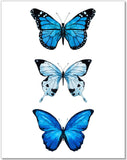 Butterfly Wall Decor- 3 Blue Butterflies Watercolor Art Print - 11x14 - Unframed