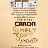 Caron (3 Pack Simply Soft Paints 100% Acrylic Soft Spring Brook Blue Silver Purple Yarn for Knitting Crocheting Medium #4