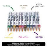 NolanMiguel,Acrylic Paint Pen Marker, Water Based, Works on almost all surfaces : rock, Wood, Glass, Metal, Ceramic, 12 Vibrant colors, Medium tip, Quick Dry, Water Resistant, Acid Free, Safe to use