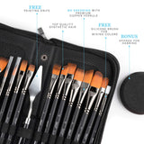 Daco Acrylic Paint Brushes Clarity, 15pcs+1 Paint Brush Set with Carry Case, Includes Painting Knife and Sponge - for Acrylic Paint, Watercolor Paint, Oil Paint, for Artists, Adults and Kids