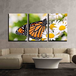 wall26 - 3 Piece Canvas Wall Art - Colorful Monarch Butterfly Sitting on Chamomile Flowers - Modern Home Decor Stretched and Framed Ready to Hang - 24"x36"x3 Panels