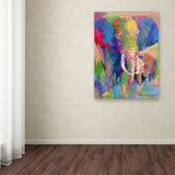 Elephant 1 by Richard Wallich, 18x24-Inch Canvas Wall Art