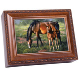 Horses Brown Mare Black Mane Colt Woodgrain Rope Trim Jewelry Music Box Plays Wonderful World