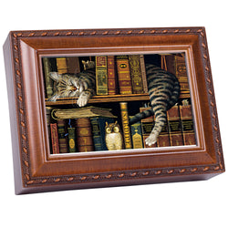 Cat Sleeping in Library Wooden Music Box That's What Friends are for MB249