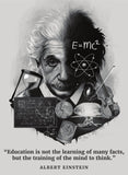 Palace Learning Albert Einstein Poster - Inspirational and Motivational Quote (18 x 24, Laminated)