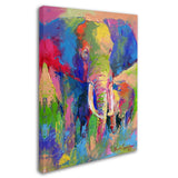 Elephant 1 by Richard Wallich, 18x24-Inch Canvas Wall Art