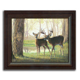 Whitetail Spring - Personalized Romantic Wildlife and Animal Framed Prints for Anniversaries, Weddings, Valentine's, and Christmas!