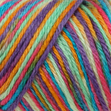 Caron Simply Soft Paints Yarn (4) Medium Worsted Gauge 100% Acrylic - 5oz - Rainbow Bright -  Machine Wash & Dry