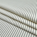 Santee Print Works Vertical Ticking Stripe Ivory Charcoal