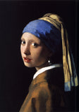 jan vermeer, art history book, painting